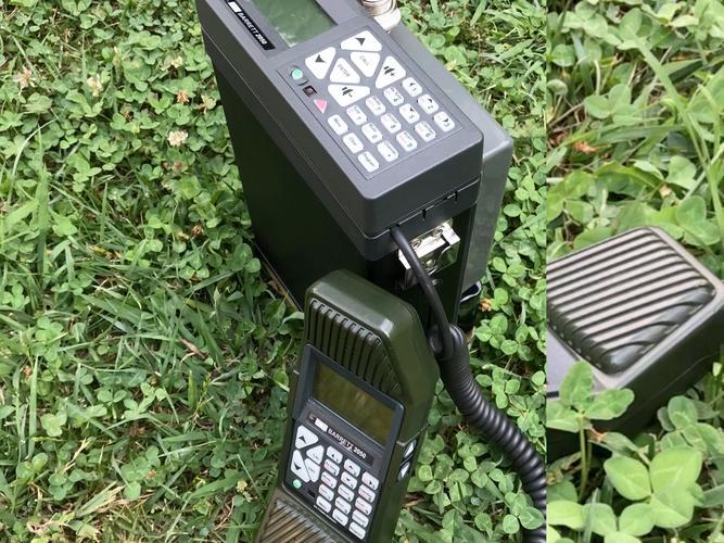 61